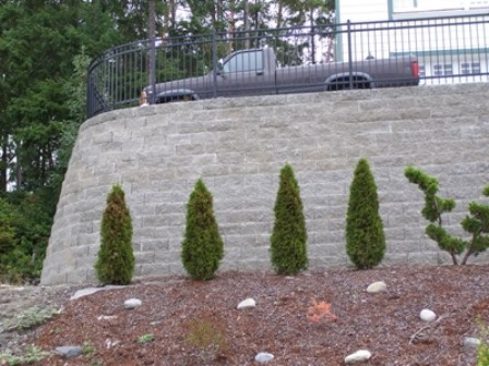 Click to view more about Landscaping Walls