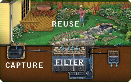 RainXChange:  Capture, Filter and Reuse Rainwater!